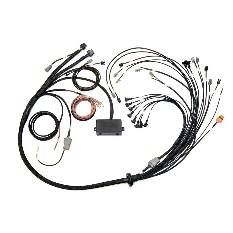 Haltech Elite 2000/2500 Terminated Harness w/EV1 Inj Connectors