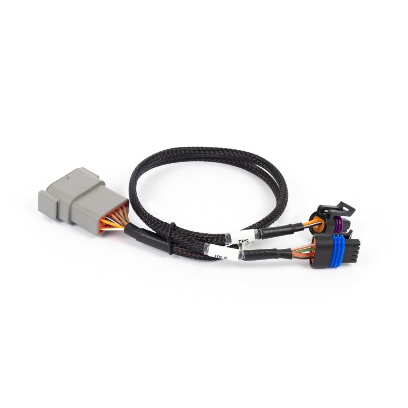 Haltech NEXUS Rebel LS Cable Throttle & IAC Sub-Harness