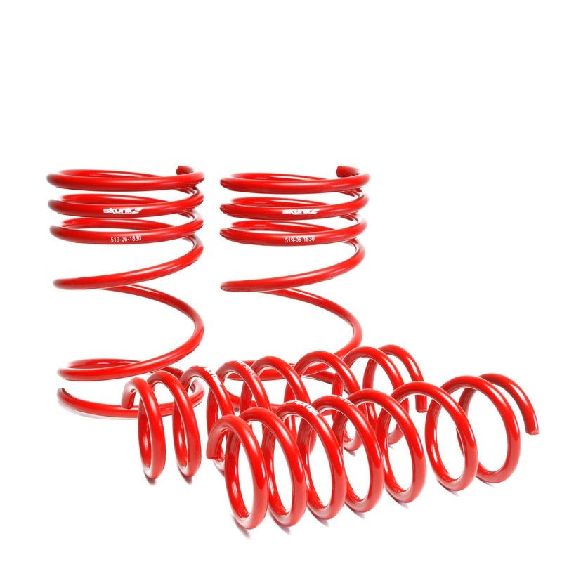 Skunk2 Evo VIII-IX Lowering Springs